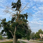 Other Parks Maintenance at 1075 Ypres Ave