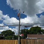 Streetlight Issue at 791 Lynn St