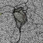 Pothole on Road at 3750 Woodward Blvd