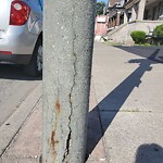 Streetlight Issue at 1163 Wyandotte St E, Windsor, On N9 A 3 K4, Kanada