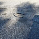 Pothole on Road at 3041 Radisson Ave