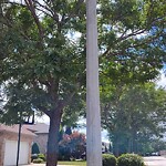 Streetlight Issue at 1424 Imperial Cres