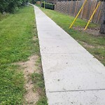 Other Parks Maintenance at 3100 Massey Crt