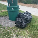 Garbage Bin Emptying at 1271 Riverside Dr W