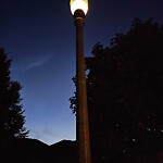 Streetlight Issue at 978 Lake Shore Dr