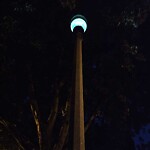 Streetlight Issue at 795 Caruso Dr