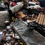 Garbage Bin Emptying at 1675 Wyandotte St W