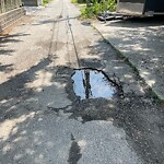 Alley Repair at 833 Windermere Rd