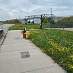 Garbage Bin Emptying at 3028 Fazio Dr