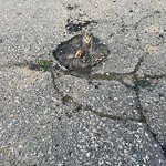 Pothole on Road at 2853 Bramley Cres