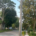 Streetlight Issue at 3384 Baby St