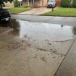 Sewer Issues / Road Flooding at 2868 Robillard Cres