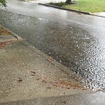 Sewer Issues / Road Flooding at 2868 Robillard Cres