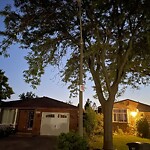 Streetlight Issue at 2823 Garvey Cres