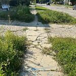 Sidewalk Repair at 3290 Riberdy Rd