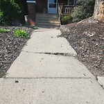 Sidewalk Repair at 1555 Hall Ave