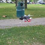 Garbage Bin Emptying at 1250 Langlois Ave