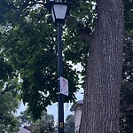 Streetlight Issue at 260 Esdras Pl