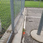 Fence Repair at 1075 Ypres Ave