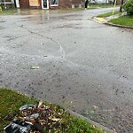 Sewer Issues / Road Flooding at 1105 Albert Rd