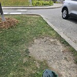 Other Parks Maintenance at 200 Riverside Dr E