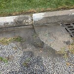 Sewer Issues / Road Flooding at 858 Nova Dr