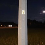 Streetlight Issue at 4650 Alpenrose Ave