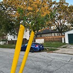 Streetlight Issue at 385 Cameron Ave