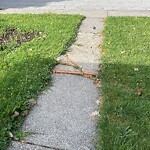 Sidewalk Repair at 1571 Pierre Ave