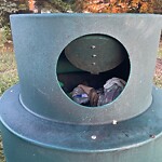 Garbage Bin Emptying at 4300 Southwood Lakes Blvd