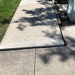 Sidewalk Repair at 1785 Calderwood Ave