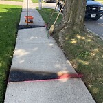 Sidewalk Repair at 995 Belleperche Pl