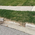 Curb Repair at 3828 Wildwood Dr