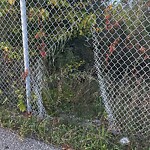 Fence Repair at 966693 Ec Row Off Ramp E