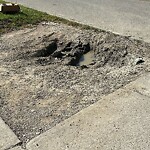 Alley Repair at 3430 Tecumseh Rd E