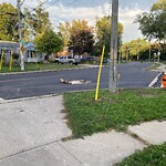 Other Road Maintenance at 4345 Casgrain Dr