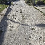 Alley Repair at 1037 Howard Ave, Windsor, On N9 A 1 S6, Canada