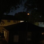 Streetlight Issue at 1269 Cottage Pl