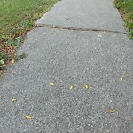 Sidewalk Repair at 434 Mcdougall St