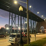 Streetlight Issue at 2735 University Ave W