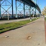 Sidewalk Repair at 710 Huron Church Rd