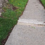 Sidewalk Repair at 536 Tournier St